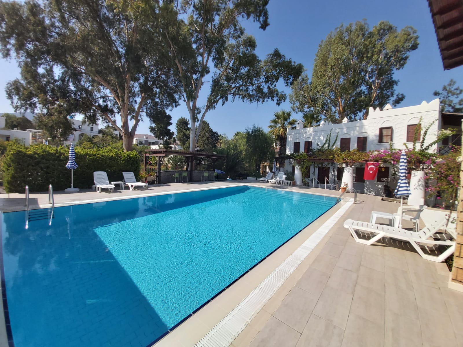 Türkbükü Bodrum Evleri — havuz ve bahçe